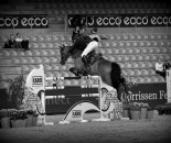 _DSC8699.NEF