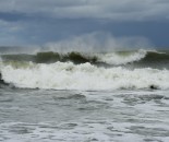 _DSC4016.1
