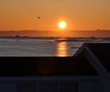 pic 032 (2)